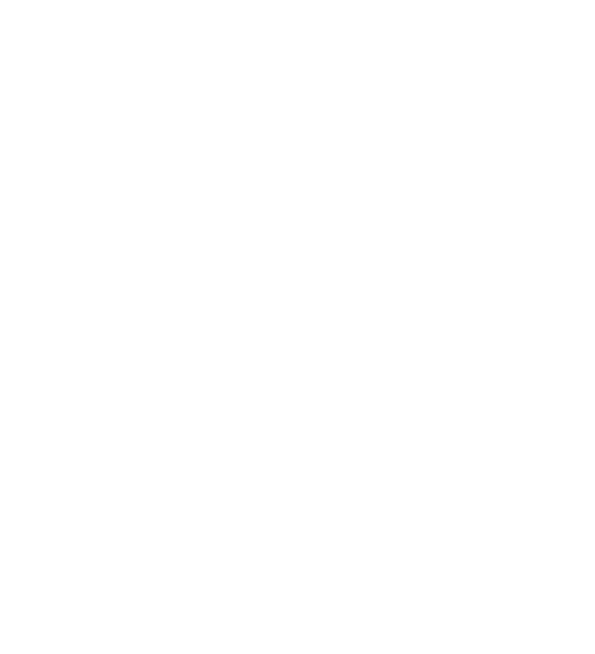 footer image logo